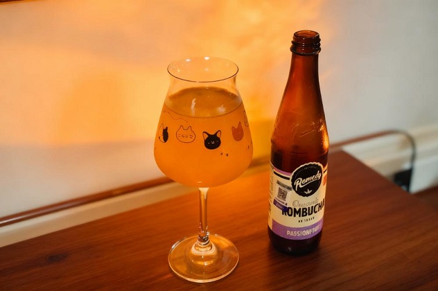 manufacturer of kombucha brewing equipment-Tiantai1