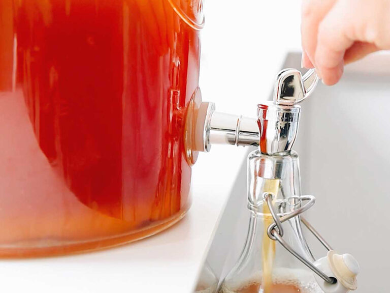 kombucha fermenter 2