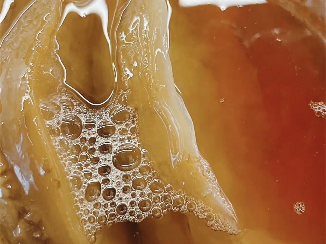health scoby