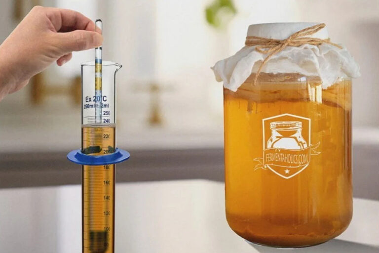 kombucha fermenter JMarch twentyfour 1