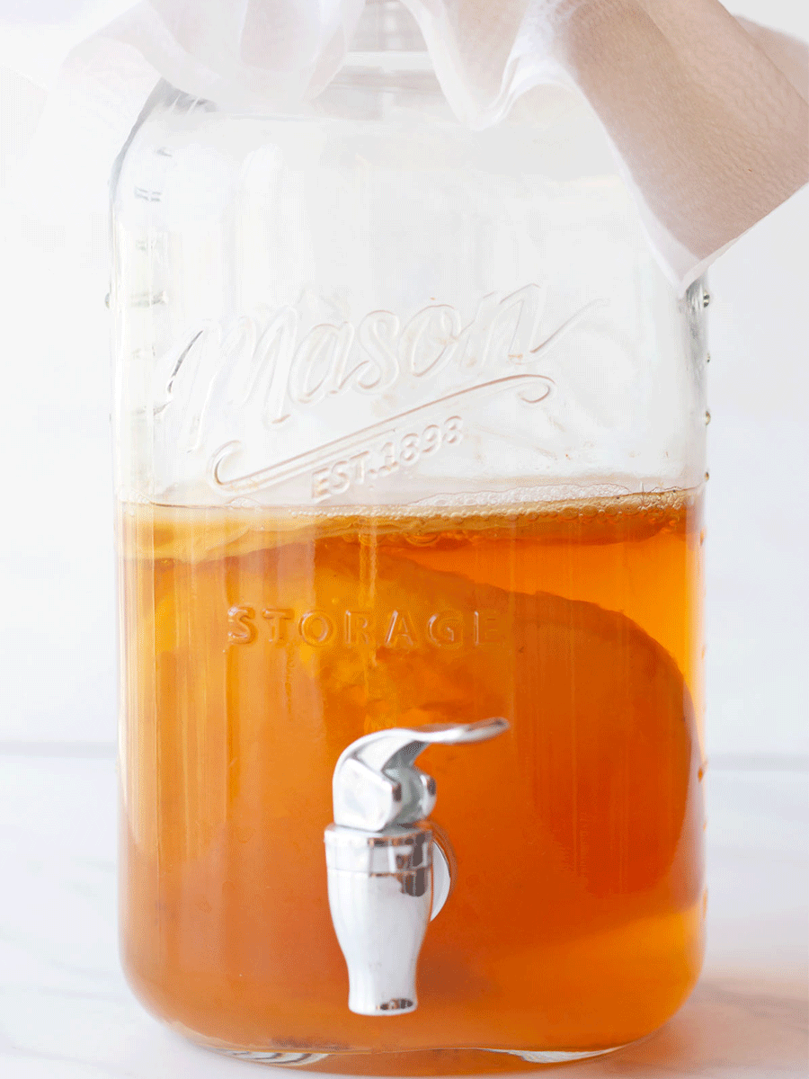 kombucha fermenter March seven 1