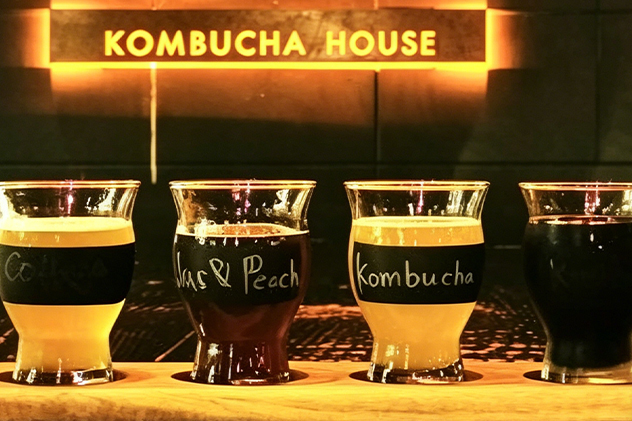 Kombucha house-Tiantai Equipment