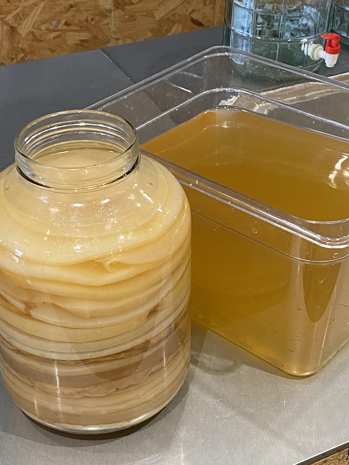 Scoby hotel and starter