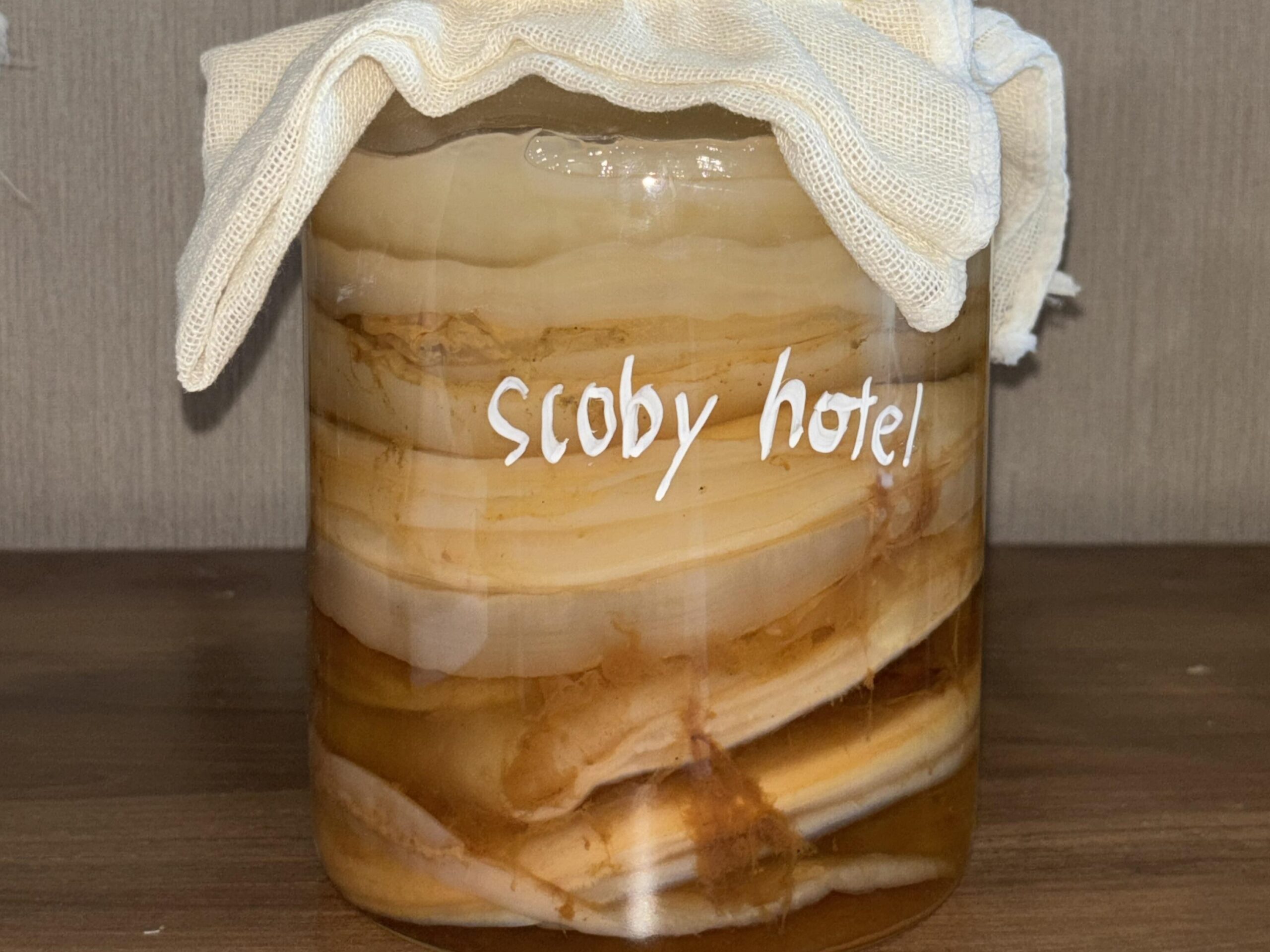 scoby hotel scaled