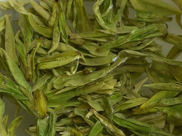 tea steeping