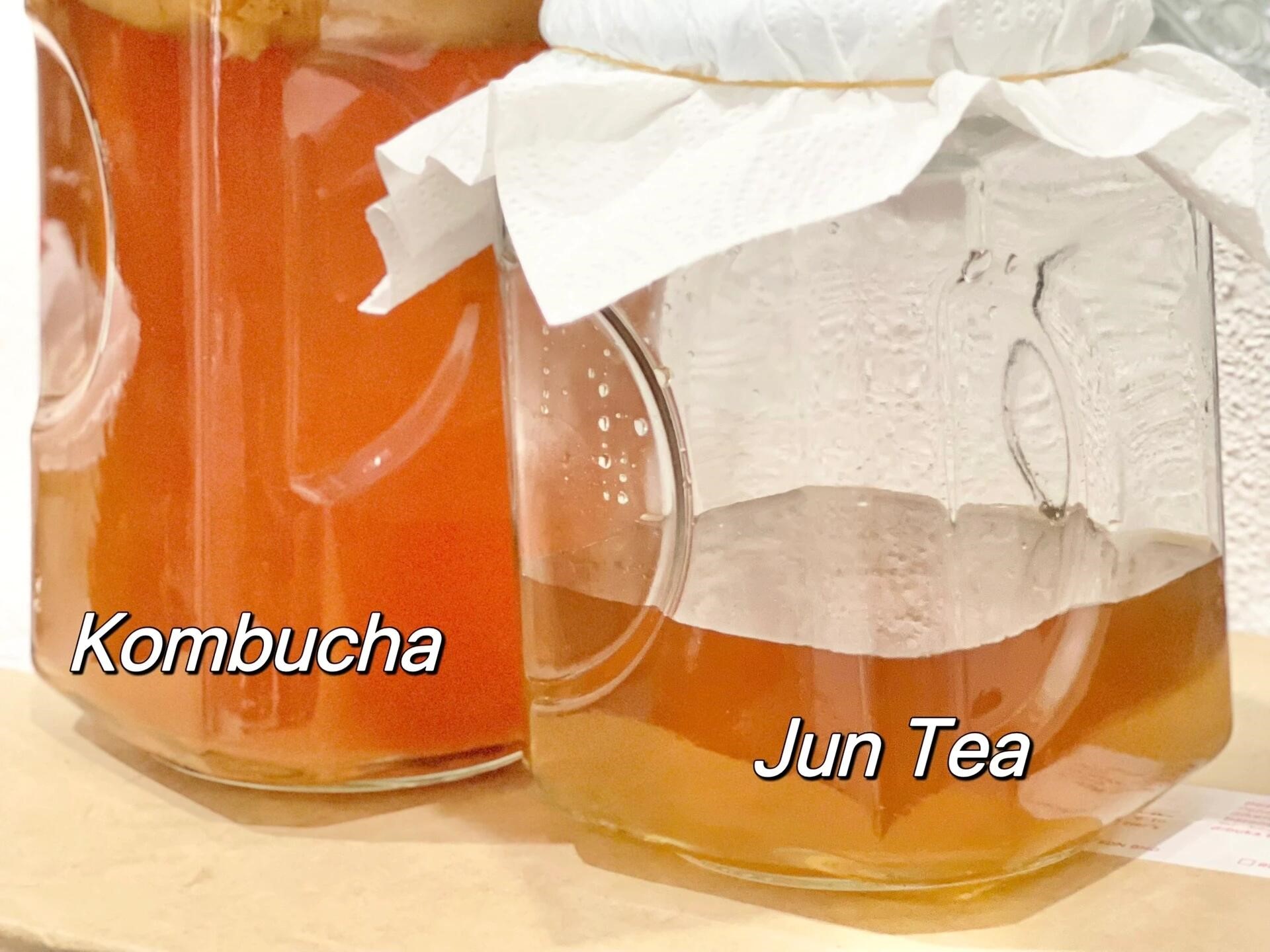 jun tea vs kombucha